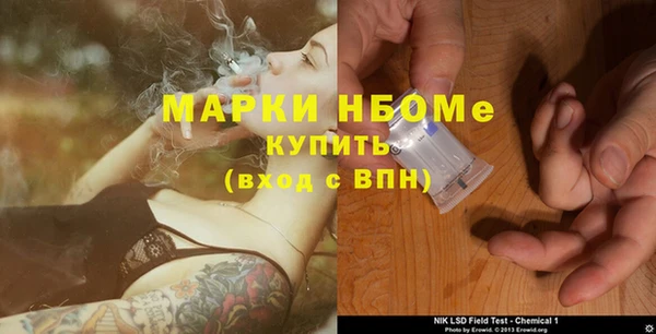 индика Богородицк