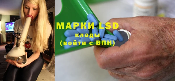 индика Богородицк