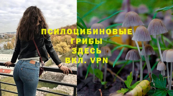 MDMA Premium VHQ Беломорск