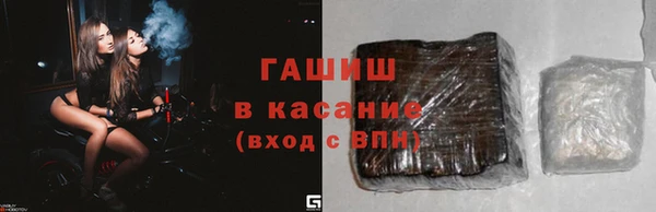 индика Богородицк
