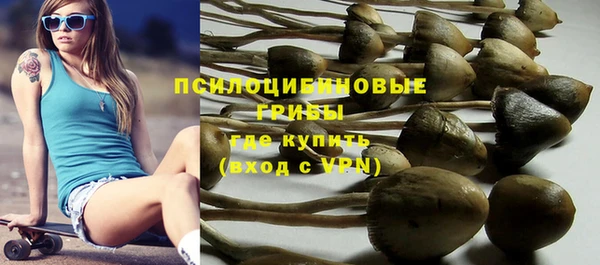 стаф Белоозёрский