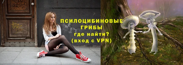 индика Богородицк