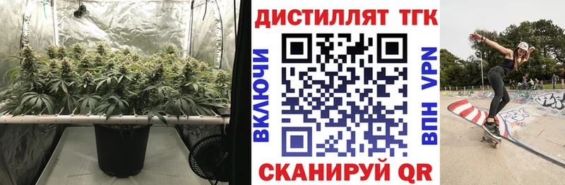 ТГК THC oil  блэк спрут как войти  Гремячинск 