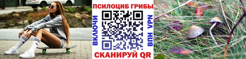 Псилоцибиновые грибы Cubensis закладки Гремячинск